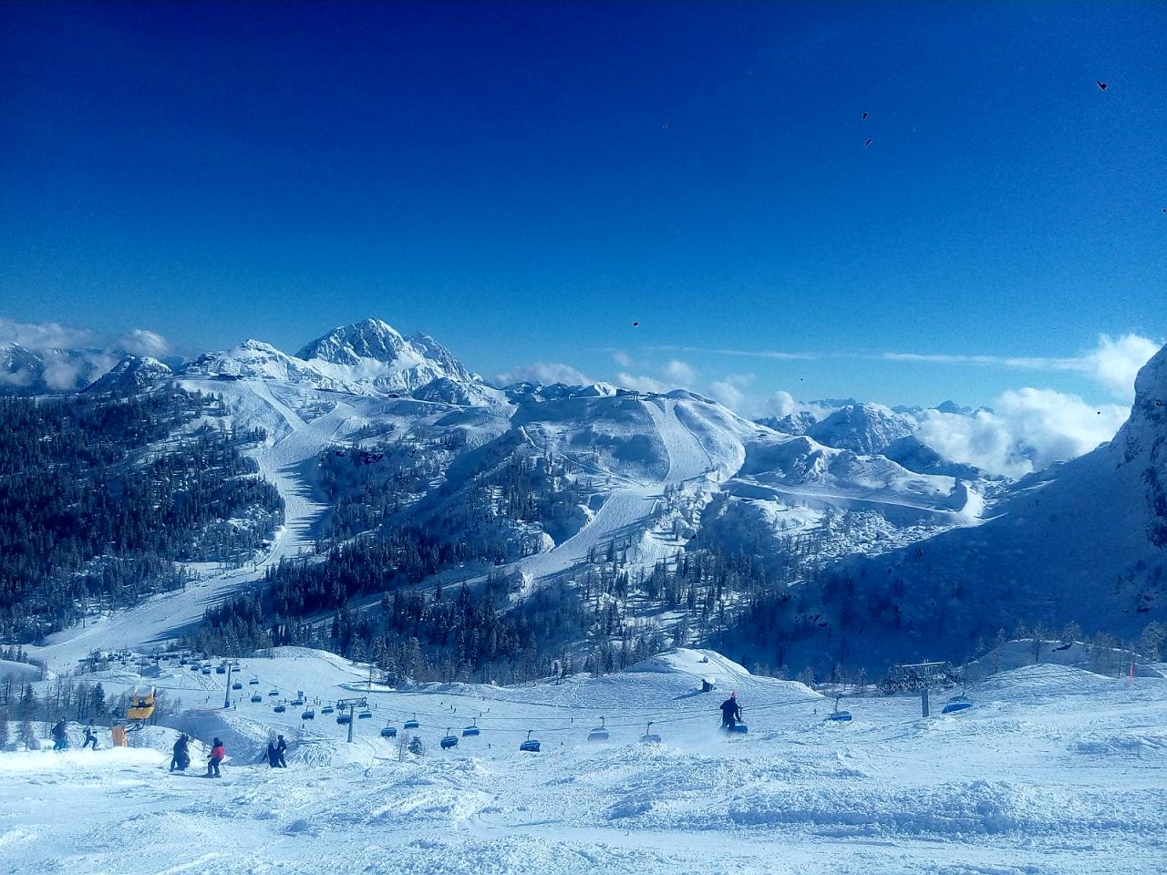 Single reis winterberg