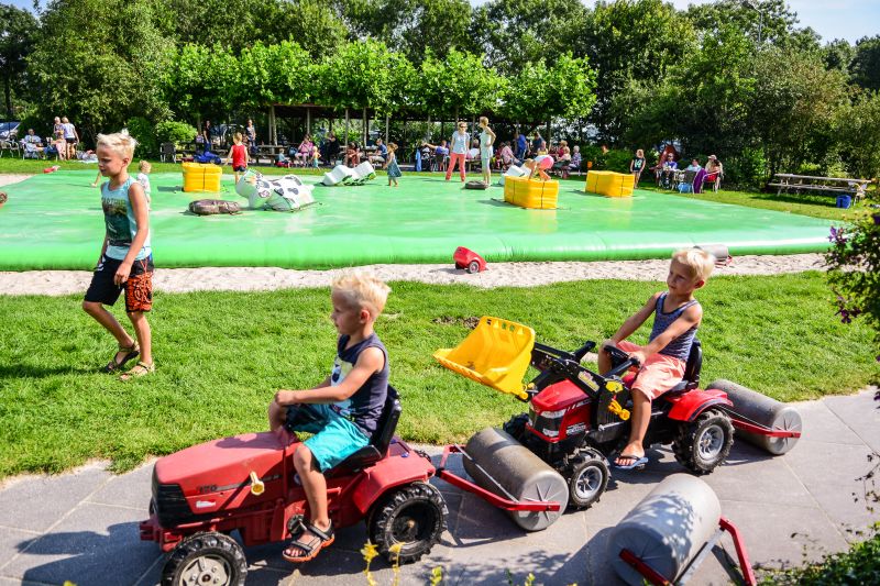 Afbeelding 3 van Drentse Koe Speelboerderij