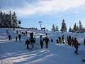 Afbeelding 1 van Winterberg Schoolreis skiën op de Sahnehang berg