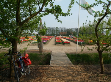 Afbeelding 2 van Tulpen route Noordoostpolder