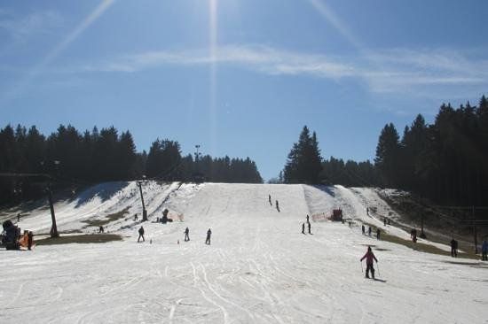 Afbeelding 3 van Schoolreis skiën op de Sahnehang berg