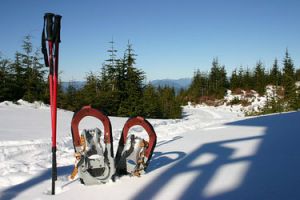 Thumbnail 4 van 2 daagse busreis Winterberg sneeuwwandelen